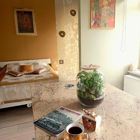 Apartament Cesarski Apartment Cieszyn (Silesia)